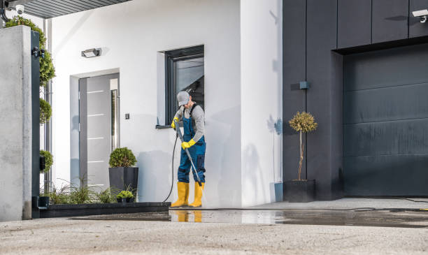 Best Animal Enclosure Cleaning  in Vado, NM